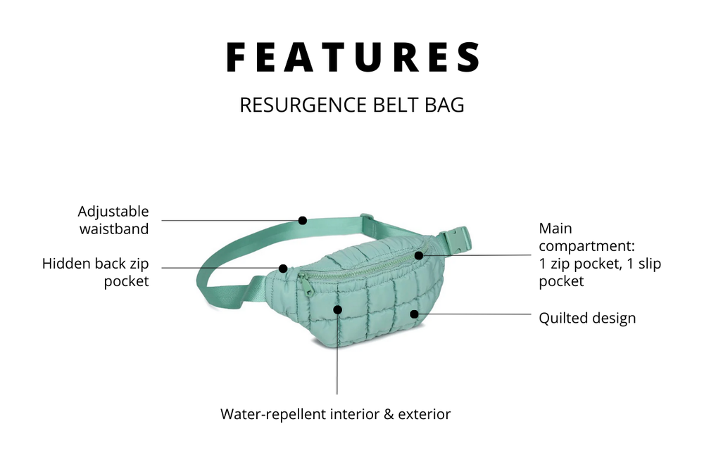 IMAGE OF THE PRODUCT FEATURES OF THE RESURGENCE BELT BAG